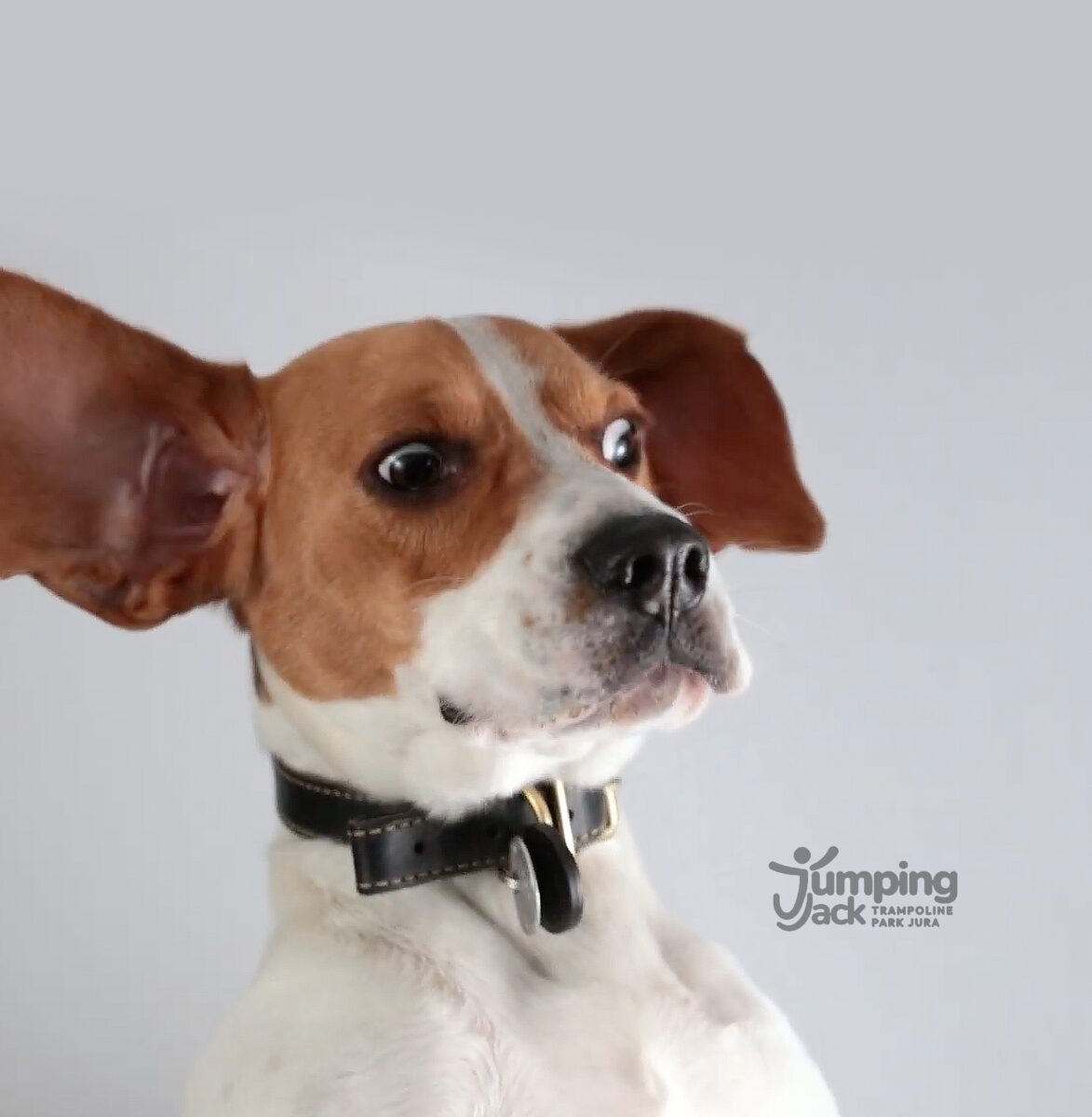 Ouverture de Jumping Jack Trampoline Parc dans le Jura