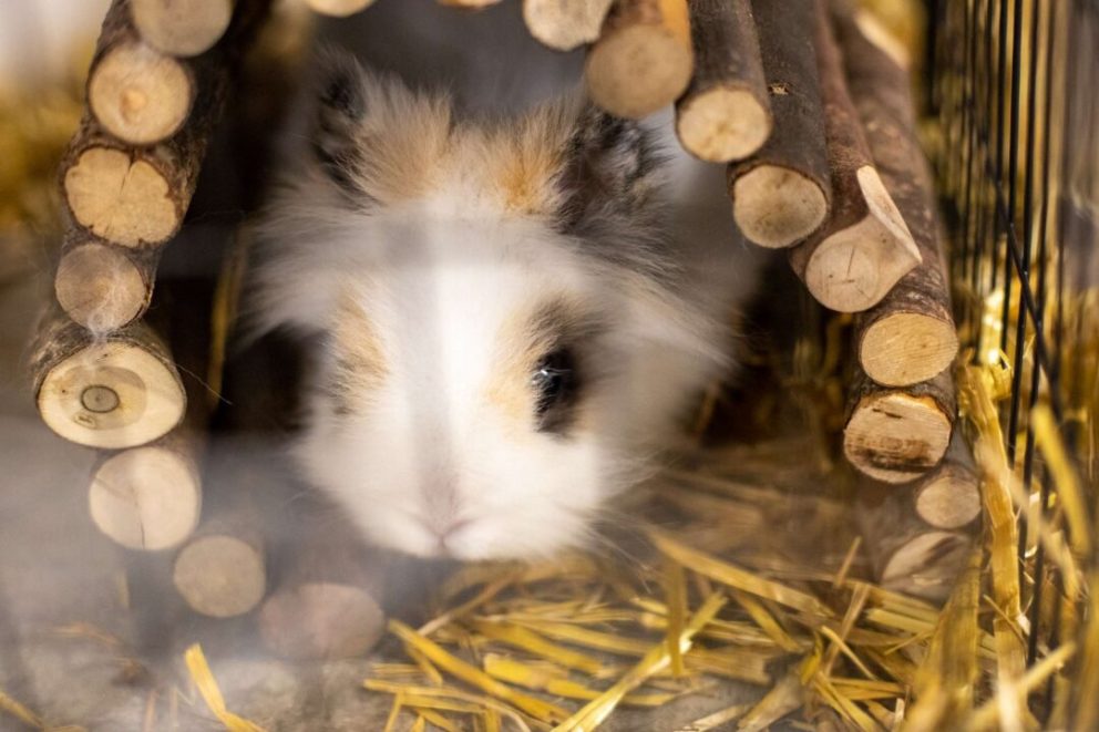 La résidence de la Courtine rafraîchit son image.-12