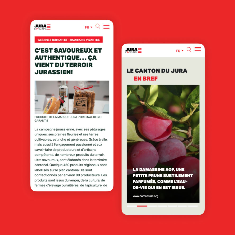 Le Jura c'est aussi... un joli siteweb-6