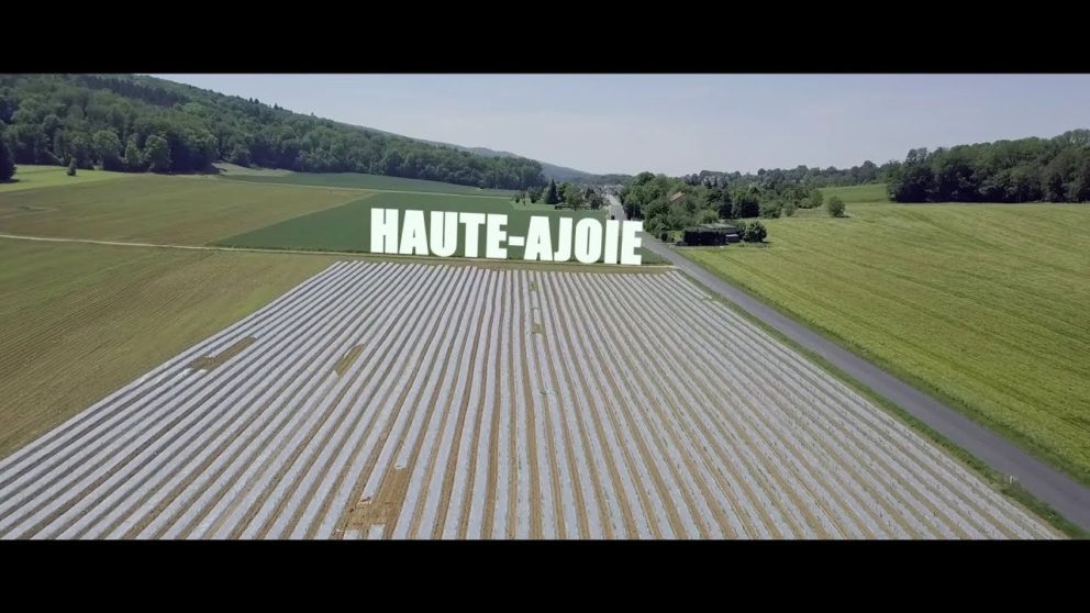 Tout est bon dans l'cochon!-8