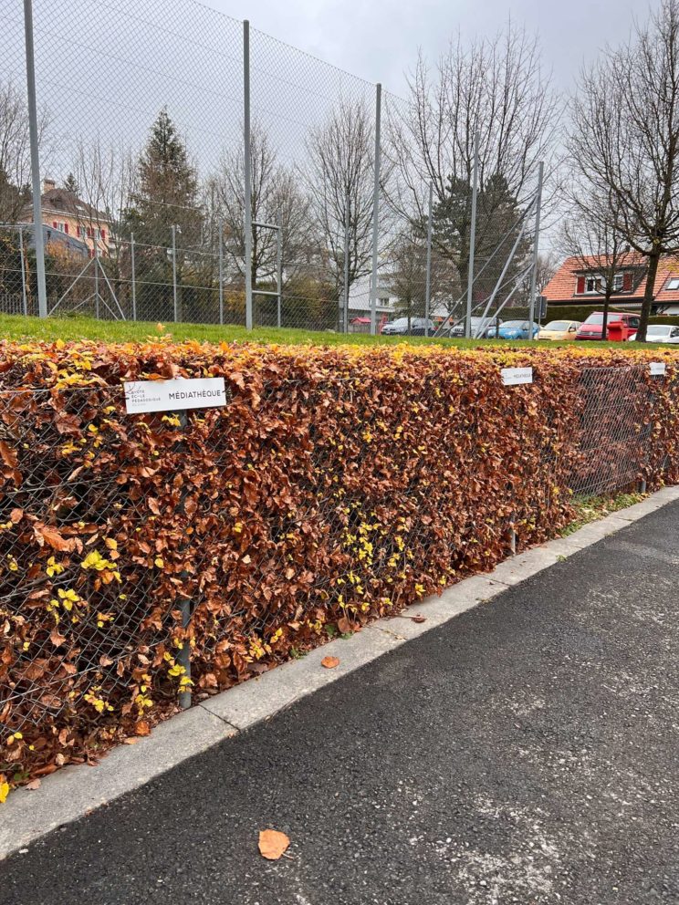 Refonte complète pour la signalétique de la HEP-Bejune-6