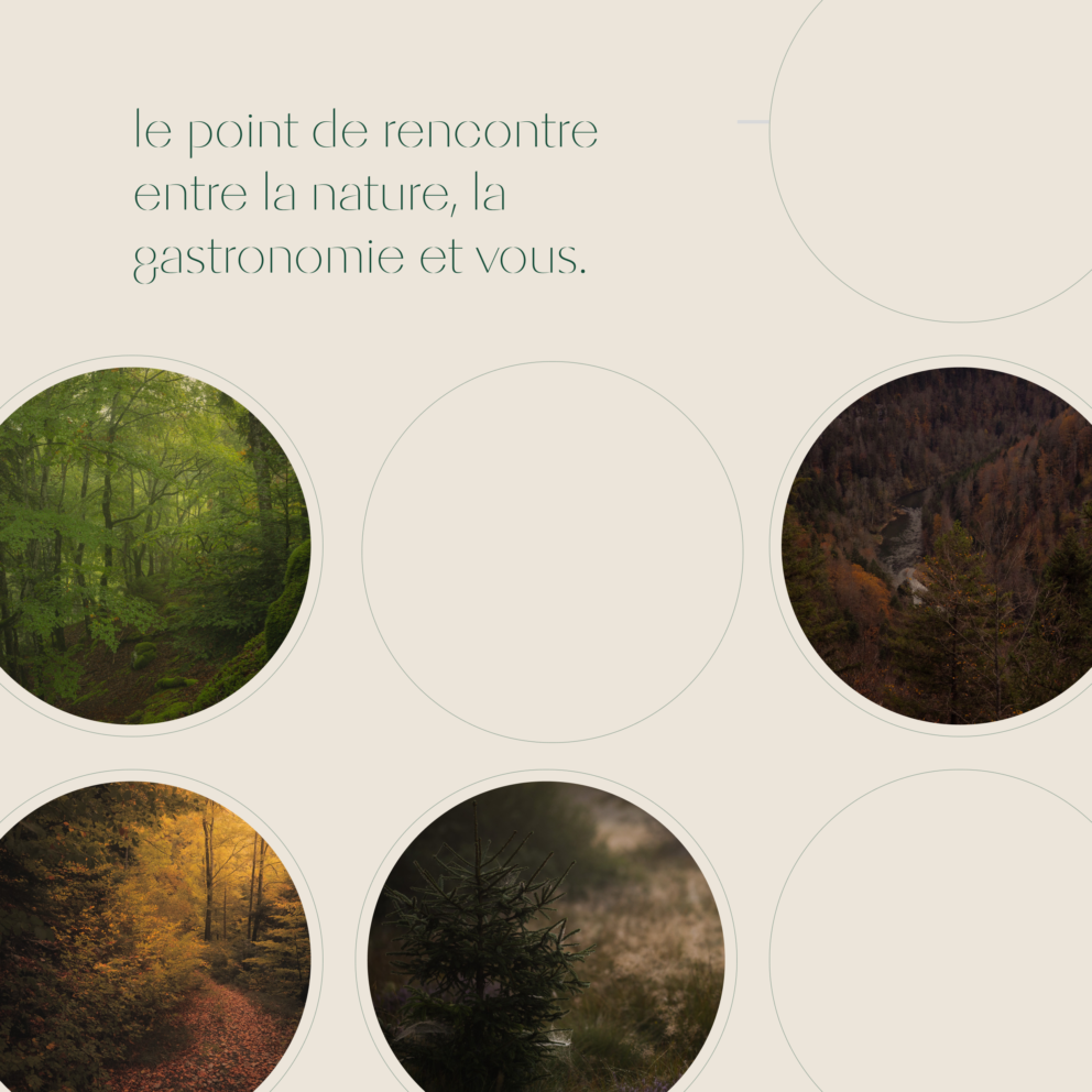 Flora, le site où élégance, nature et gastronomie se rencontrent-3