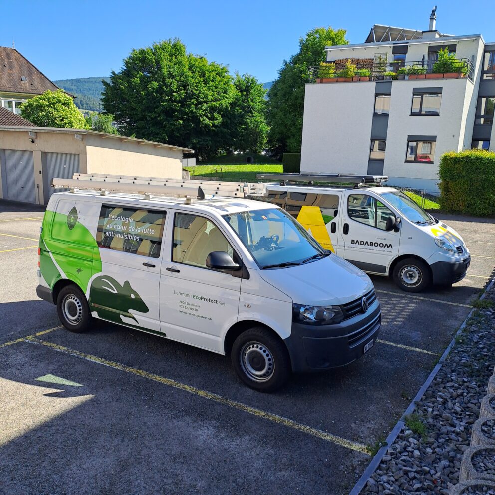 Personnalisation d'un véhicule pour l'entreprise Lehmann EcoProtect Sàrl-2