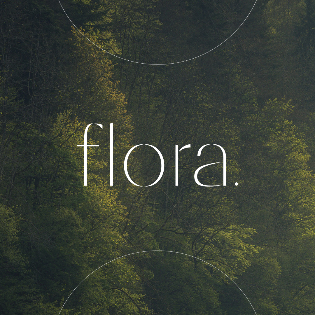 Une identité de marque ancrée dans le terroir jurassien pour flora. 